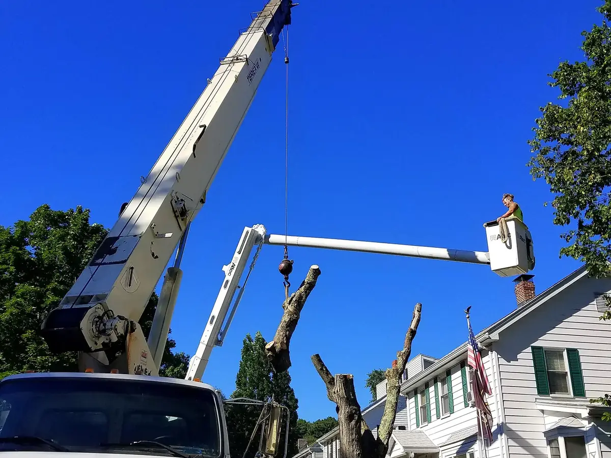 Crane lifting a cut trunk section beside a house while a worker waits in a bucket truck