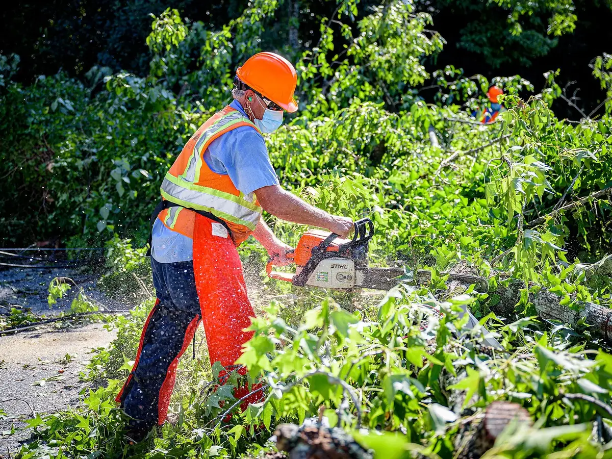 Crew member in a hard hat cutting up storm-downed limbs with a chainsaw