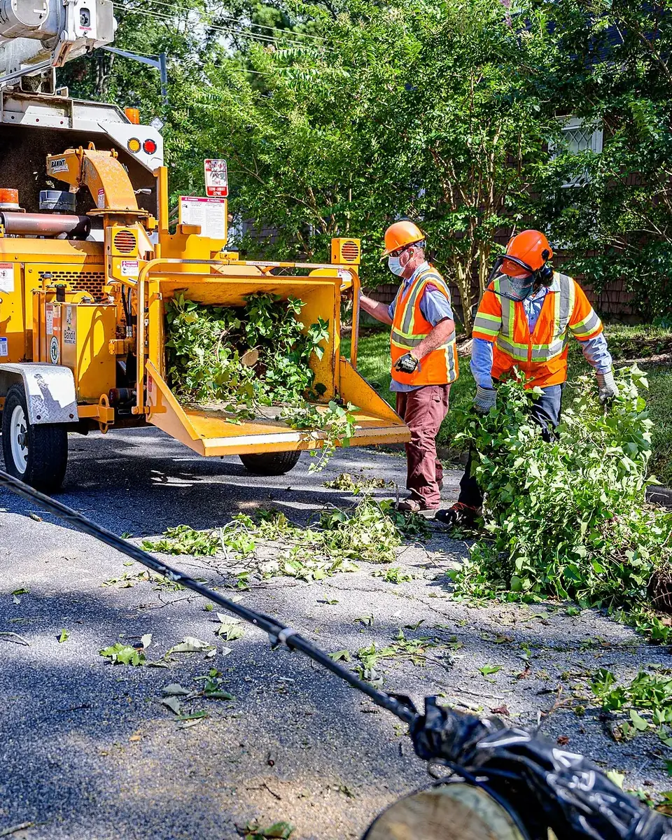 Two tree crew members in safety vests feeding branches into a wood chipper on a street
