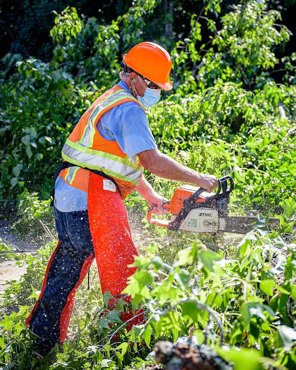 Tree crew member in a hard hat and safety gear cutting up storm limbs with a chainsaw