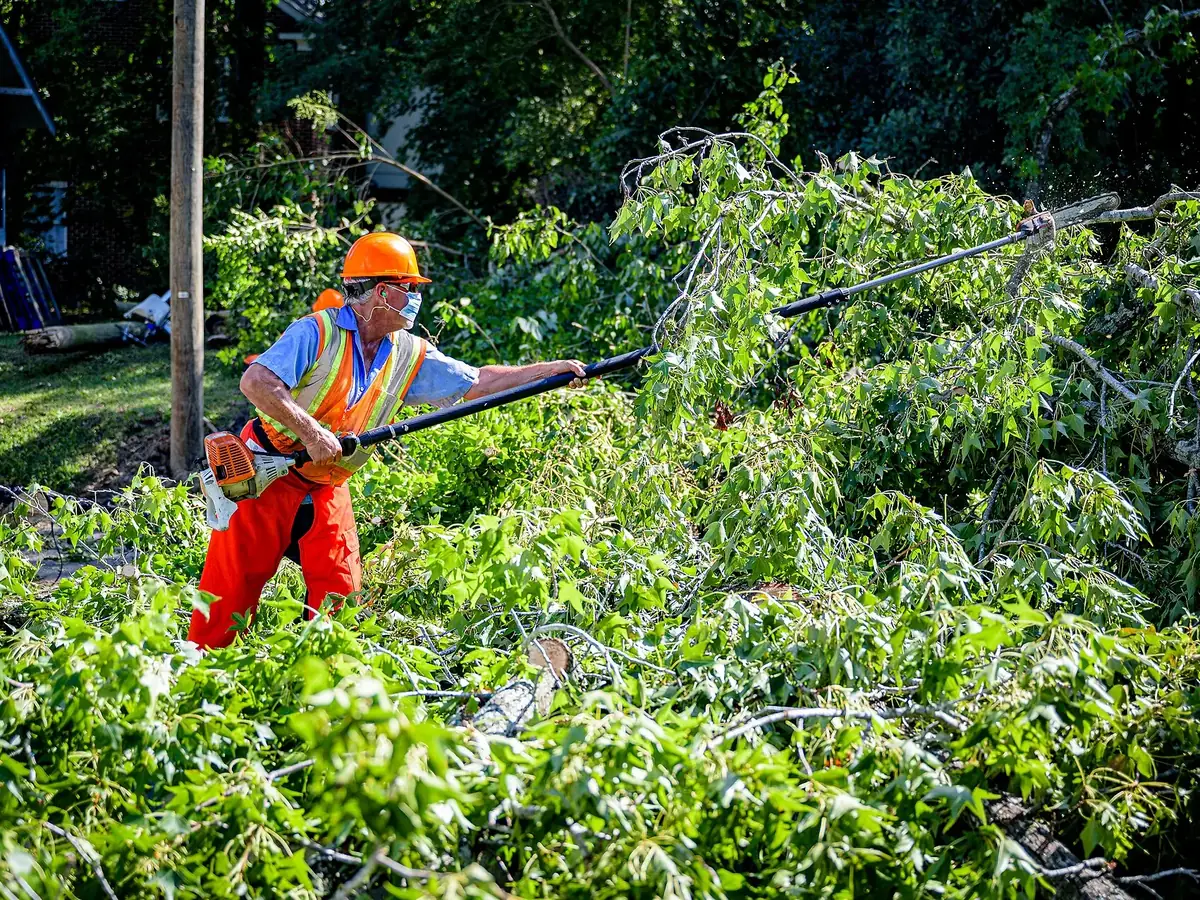 Crew member cutting tangled limbs with a pole saw