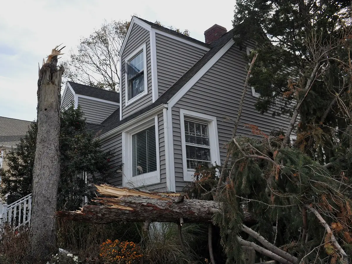 Storm-snapped trees fallen against the side of a house
