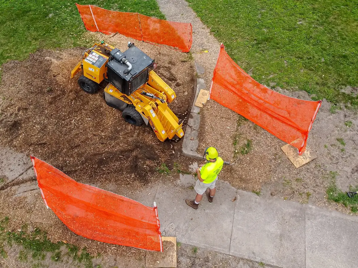 Stump grinder working inside orange safety fencing, seen from above