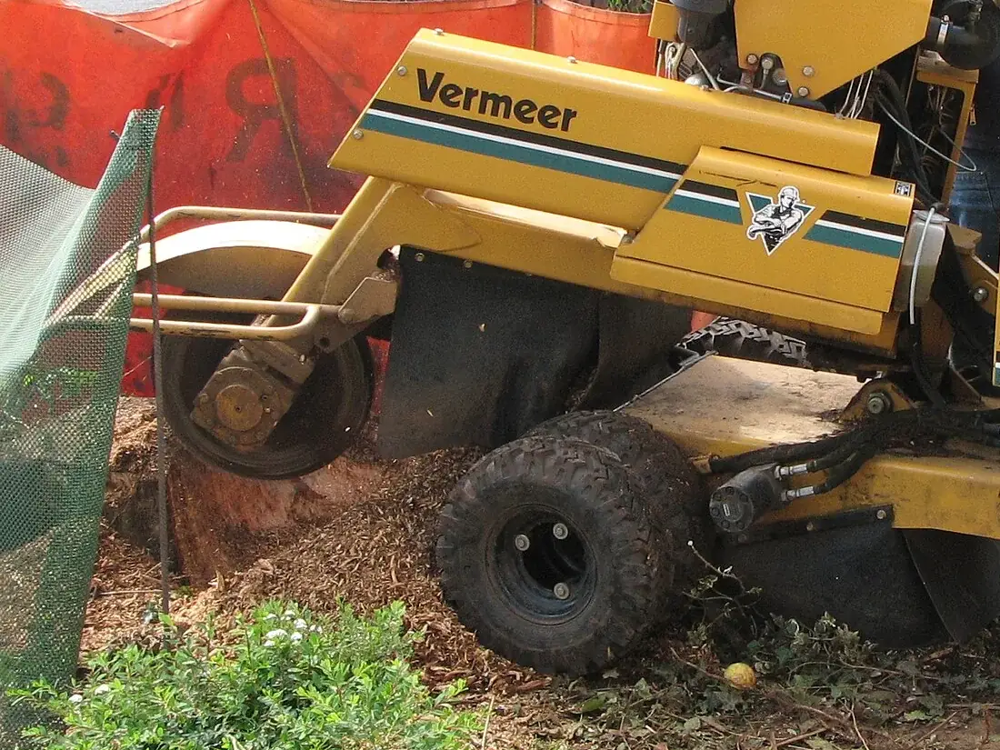 Close view of a stump grinder's cutting wheel chewing into a stump